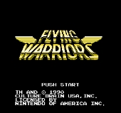 Flying Warriors