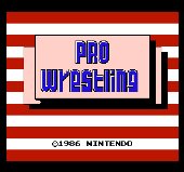 Pro Wrestling