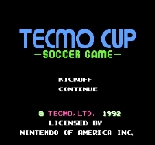 Tecmo Cup Soccer Game