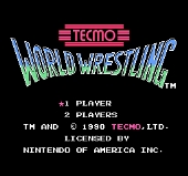 Tecmo World Wrestling