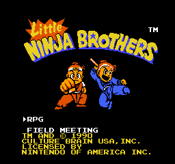 Little Ninja Brothers